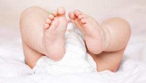 usar-panales-biodegradables